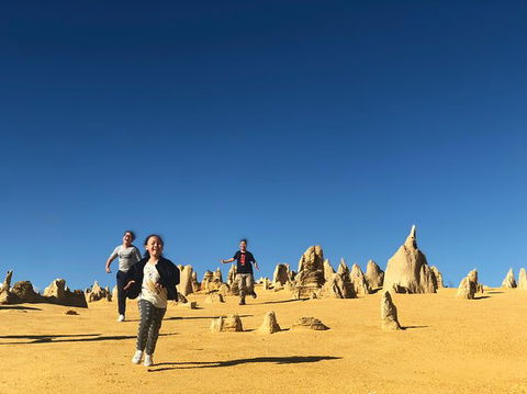 Pinnacles, Lancelin, Yanchep National Park Day Tour (Fish & Chip Lunch) - Tourism Canberra 0