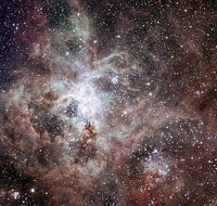 Overnight Astronomy Experience Ningaloo - Yardie Homestead - Tourism Canberra