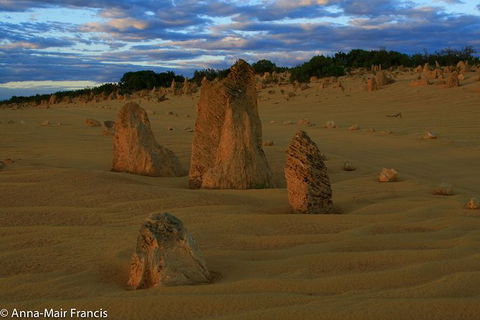 Pinnacles, Sunset And Night Photography Private Day Tour - Tourism Canberra 0