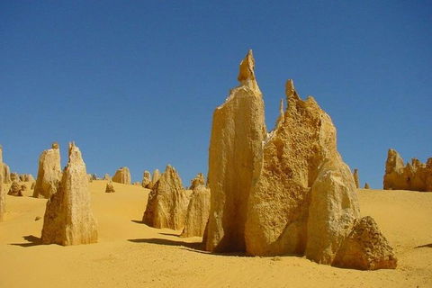 Half Day Pinnacles Sunset Tour - Tourism Canberra 5