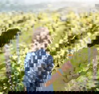 5 Hours Wineries Coffee Tasting Forest  Lunch at the Berry Farm - Tourism Canberra