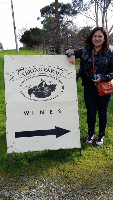 Yarra Valley Wine And Winery Tour From Melbourne - Tourism Canberra 18