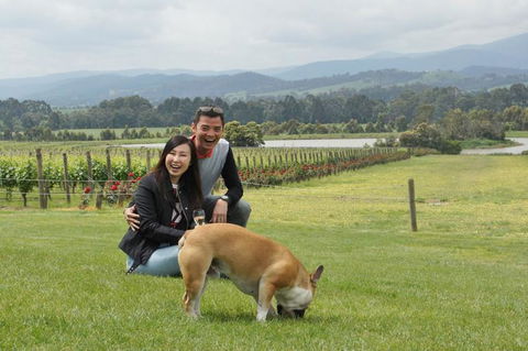 Yarra Valley Wine And Winery Tour From Melbourne - Tourism Canberra 6