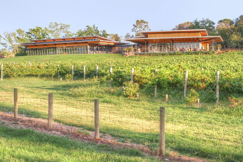 Yarra Valley Wine And Winery Tour From Melbourne - Tourism Canberra 31