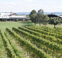 Puffing Billy Train and Yarra Valley Food and Wine Day Trip from Melbourne - Tourism Canberra