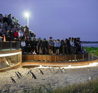 Small-Group Phillip Island Day Trip from Melbourne with Penguin Plus Viewing - Tourism Canberra