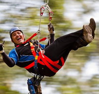 12 Apostles and Otway Fly Zipline Day Trip from Melbourne - Tourism Canberra