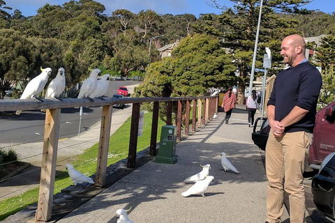 Private Full-Day Great Ocean Road Tour With Helicopter Ride - Tourism Canberra 1