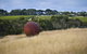 Estate To Plate: Montalto Vineyard Gourmet Lunch And Wine-Tasting Tour - thumb 0