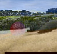 Estate to Plate Montalto Vineyard Gourmet Lunch and Wine-Tasting Tour - Tourism Canberra
