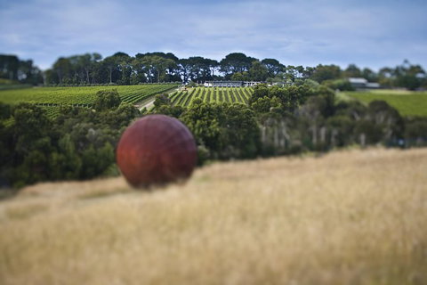 Estate To Plate: Montalto Vineyard Gourmet Lunch And Wine-Tasting Tour - Tourism Canberra 0