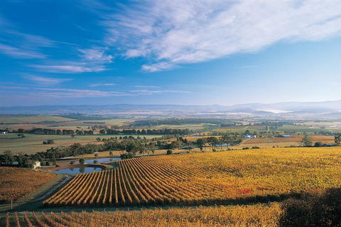 Half Day Yarra Valley Winery Day Trip From Melbourne - Tourism Canberra 0