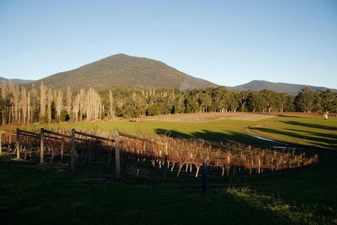 Half Day Yarra Valley Winery Day Trip From Melbourne - Tourism Canberra 6
