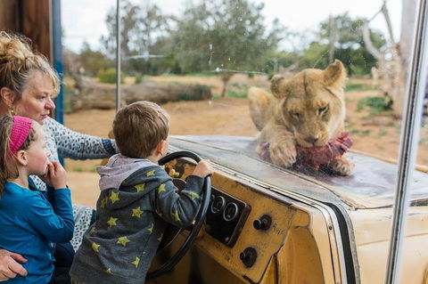 Werribee Open Range Zoo General Admission Ticket - Tourism Canberra 3
