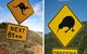 Aroha Tangata Australia And New Zealand 20 Day - thumb 0