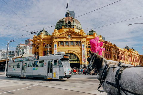 A Full Day In Melbourne With A Local: Private & Personalized - Tourism Canberra 9