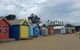 Phillip Island Penguin, Brighton Beach, Moonlit Sanctuary From Melbourne - thumb 3