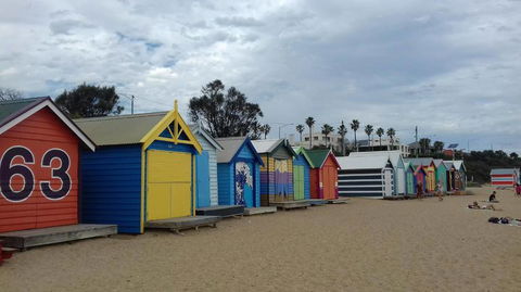 Phillip Island Penguin, Brighton Beach, Moonlit Sanctuary From Melbourne - Tourism Canberra 3