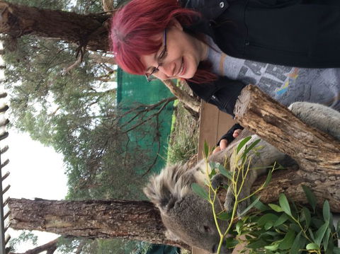 Phillip Island Penguin, Brighton Beach, Moonlit Sanctuary From Melbourne - Tourism Canberra 23