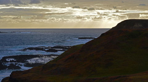 Phillip Island Penguin, Brighton Beach, Moonlit Sanctuary From Melbourne - Tourism Canberra 12