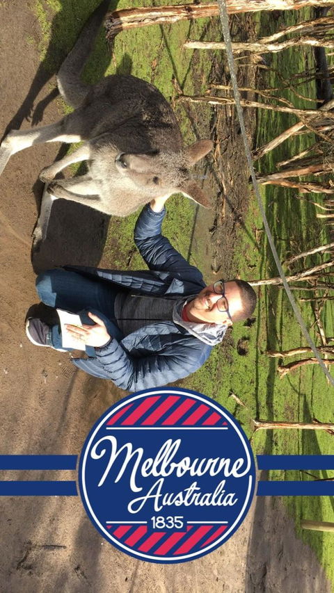 Phillip Island Penguin, Brighton Beach, Moonlit Sanctuary From Melbourne - Tourism Canberra 9