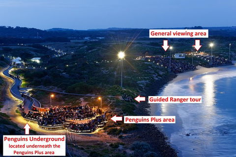 Phillip Island Penguin, Brighton Beach, Moonlit Sanctuary From Melbourne - Tourism Canberra 27