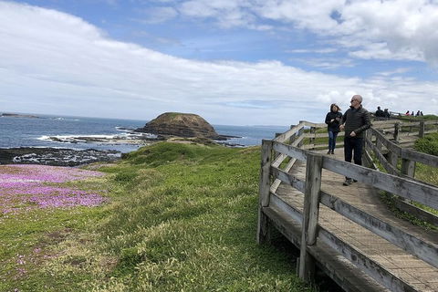 Phillip Island Tour Including Phillip Island Penguin Parade - Tourism Canberra 10