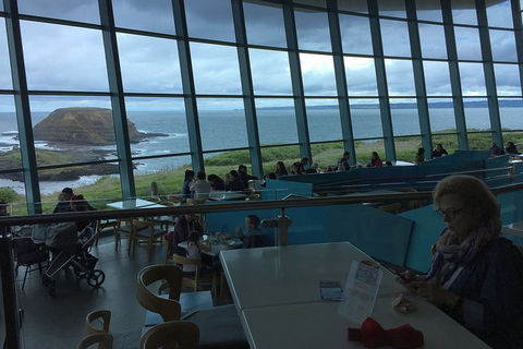 Phillip Island Tour Including Phillip Island Penguin Parade - Tourism Canberra 4