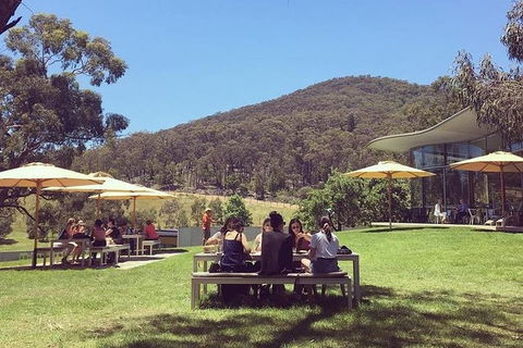 CHEVY CONVERTIBLE Package For 2 People- Wine Lunch Cheese & Chocolate From Melb. - Tourism Canberra 6