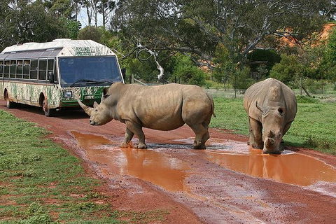 Melbourne Attractions Pass Including Melbourne Zoo, Hop-on Hop-off Bus And SEA LIFE Aquarium - Tourism Canberra 13