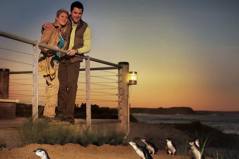Melbourne Attractions Pass Including Melbourne Zoo, Hop-on Hop-off Bus And SEA LIFE Aquarium - Tourism Canberra 10