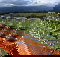 Yarra Valley Local Produce and Wine Tasting Tour - Tourism Canberra