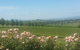 Ultimate Mornington Peninsula Food And Wine Small Group Tour - thumb 0