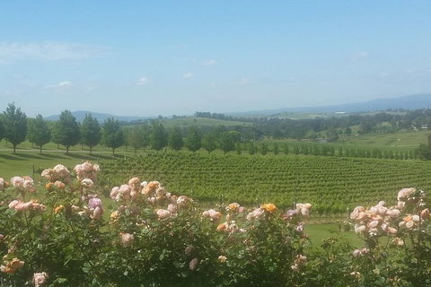 Ultimate Mornington Peninsula Food And Wine Small Group Tour - Tourism Canberra 0