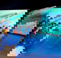 Phillip Island Antarctic Journey Entry ticket - Tourism Canberra