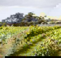 Phillip Island Wine Experience Tour - Tourism Canberra