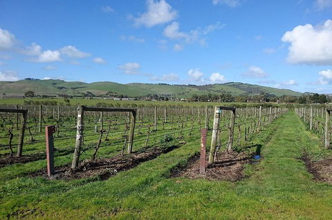 Phillip Island Wine Experience Tour - Tourism Canberra 4