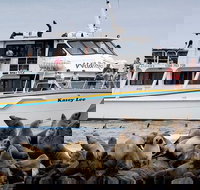 Phillip Island Seal-Watching Cruise - Tourism Canberra