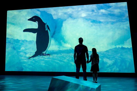 Phillip Island Penguin Highlights Day-Trip From Melbourne - Tourism Canberra 9