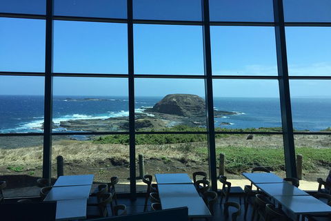 Phillip Island Penguin Highlights Day-Trip From Melbourne - Tourism Canberra 15