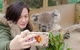 Phillip Island Penguin Highlights Day-Trip From Melbourne - thumb 16