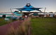 Phillip Island Penguin Highlights Day-Trip From Melbourne - thumb 5