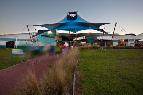 Phillip Island Penguin Highlights Day-Trip From Melbourne - Tourism Canberra 5