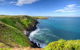 Phillip Island Penguin Highlights Day-Trip From Melbourne - thumb 8