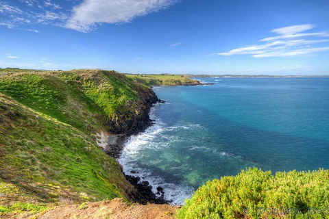 Phillip Island Penguin Highlights Day-Trip From Melbourne - Tourism Canberra 8