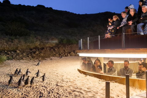 Phillip Island Penguin Highlights Day-Trip From Melbourne - Tourism Canberra 12