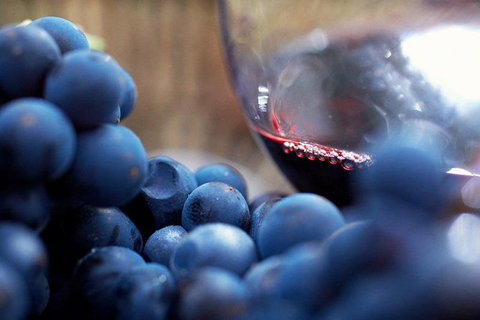 Small Group 6 Guests: Ultimate Mornington Peninsula Food And Wine - Tourism Canberra 0