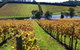 Small Group 6 Guests: Ultimate Mornington Peninsula Food And Wine - thumb 3