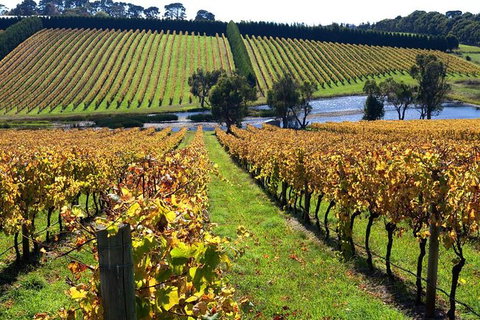 Small Group 6 Guests: Ultimate Mornington Peninsula Food And Wine - Tourism Canberra 3