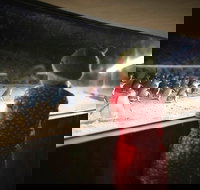 Phillip Island Private Tour - Tourism Canberra